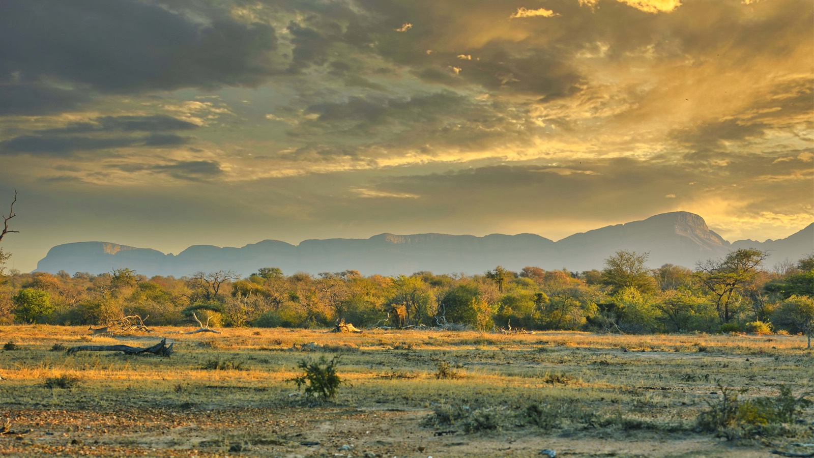 South Africa · The home chapter travel chapter
