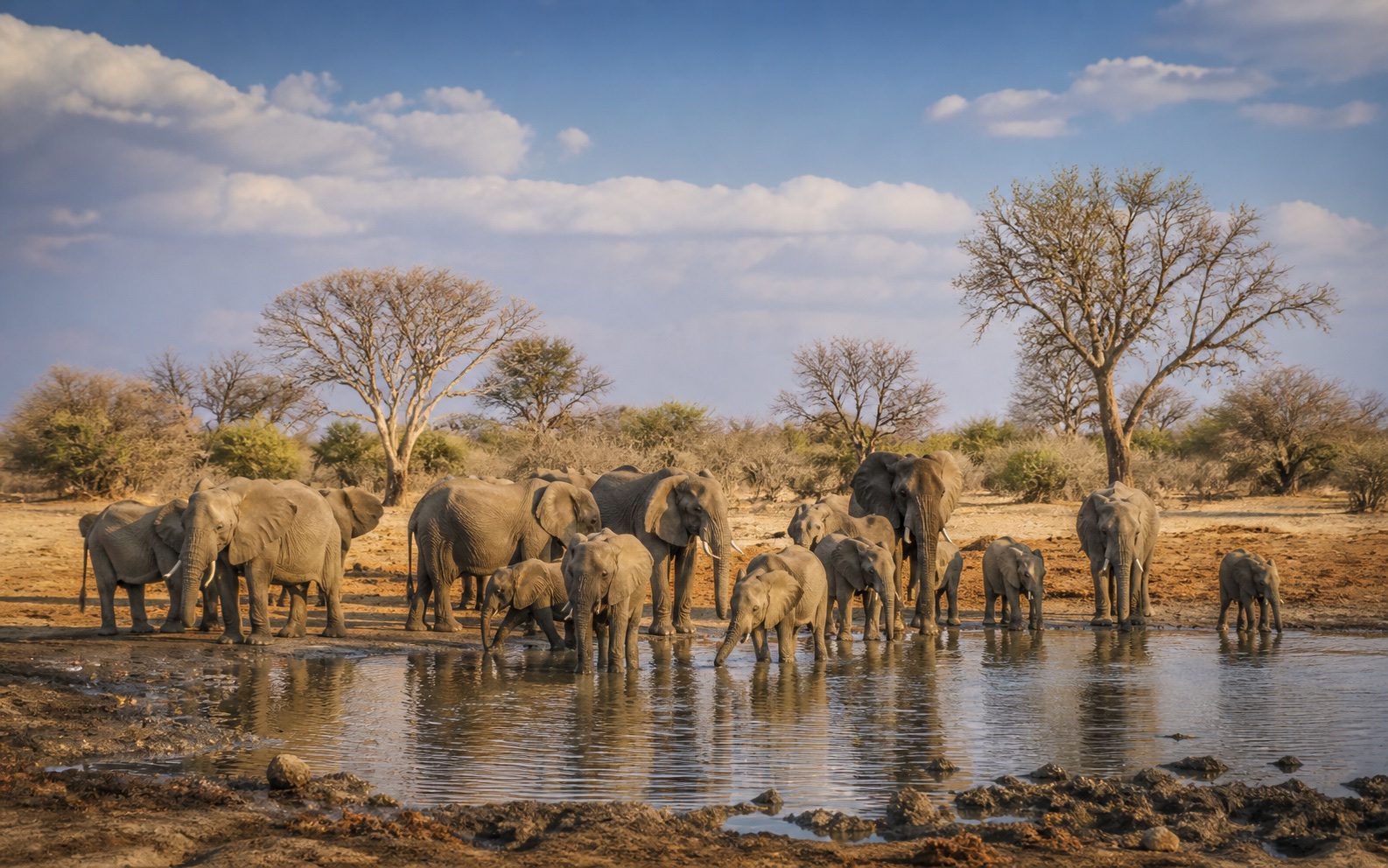 Victoria Falls & the Zambezi travel chapter